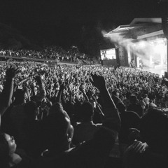 " ALL OUT" *SNIPPET*