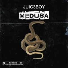 MEDUSA (Video in Description)