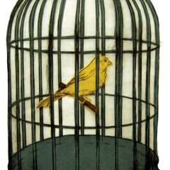 plz! my ego needs it bad [Prod. Nascar 9]