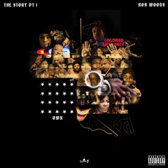 Rob Woods - Own ( Prod. P.Soul )