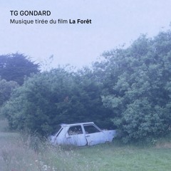 A4 - À travers la forêt