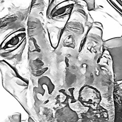 2 Pistols wild X Biino