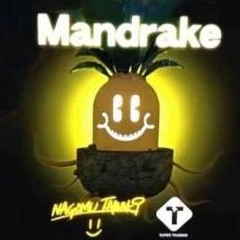 【DANCERUSH STARDOM - SPARK FESTIVAL 2018】 Mandrake - nagomu tamaki