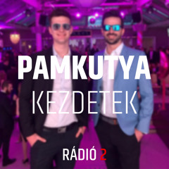 Pamkutya - Tanár úr dala (Radio Edit)