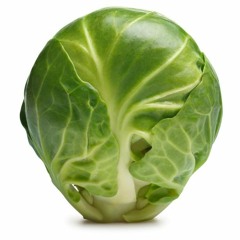 Papers - (Girl) Ich Zeig - Shelfi Kitschkonservenmix feat. Äda