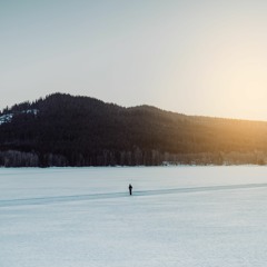 Chillicious Discoveries - February 2019 [Final Picks]
