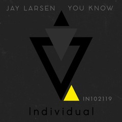 Jay Larsen - You Know (Radio Edit)