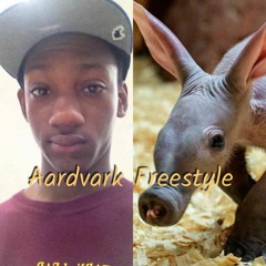 Aardvark Freestlye (Left Wrist, Right Wrist)