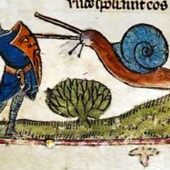 The Slug War Chronicles