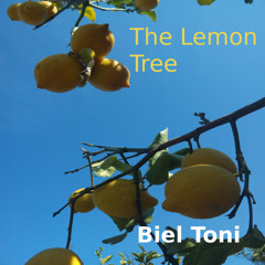 The Lemon Tree (Original Mix)