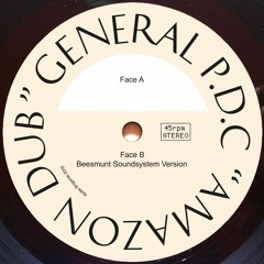 PRÈMIÉRE: General P.D.C - "Amazon Dub" (Beesmunt Soundsystem Version) [HLM38]