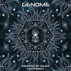 Rabbit Fury - Process Down - V.A Genome Out Now on Senoï Project