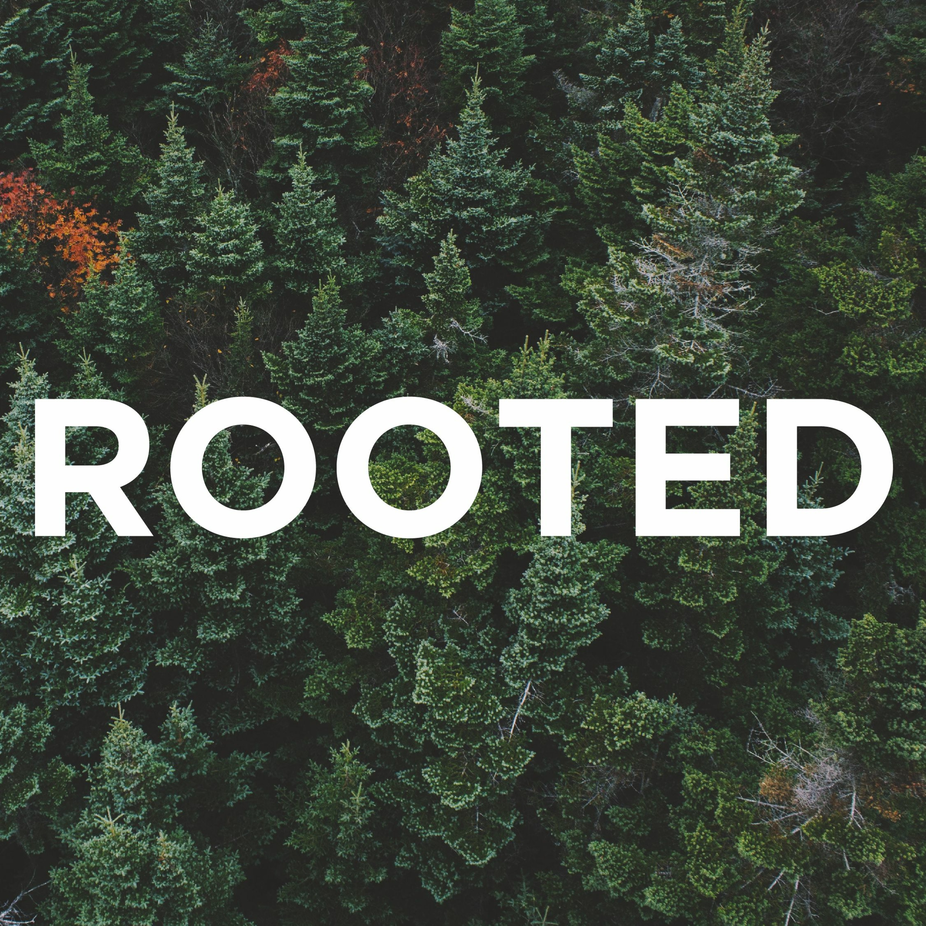 3-3-2019 - Rooted - How Can I Make the Most of My Life? episode artwork
