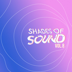 Joe Morris l Shades of Sound Vol.8