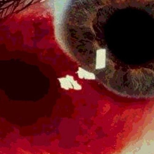 I DONT GIVE ANY FUCKS [SHELLSHXCK prod.]