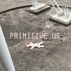 Primitive Us