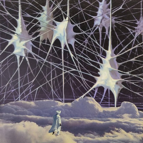 Steve Spacek - Follow Me (Skeptical Bootleg)