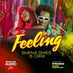 Feeling - Shena Skies X Crim | Prod. by D'mario Legend