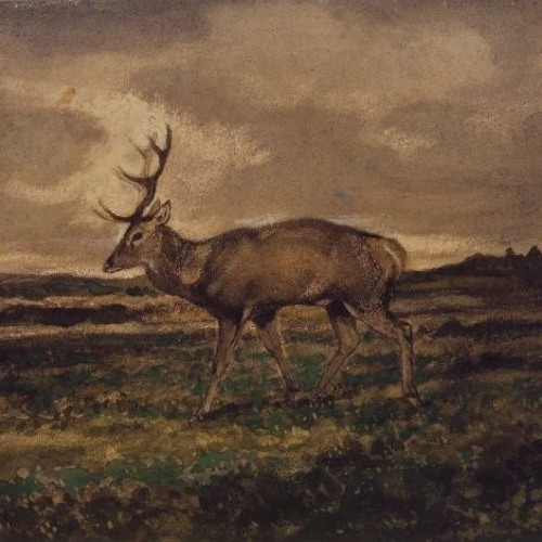 Black Hill & Silent Island - The Gathering Of Deer (Mavenhirst Hall Remix)