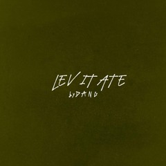 Levitate (DANG Remix)