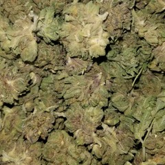 (Twin Testimonies) Lean X Phace10 FLAMERANKENT.mp3