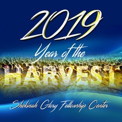 Pastor Rex A. Ricks, Sr. "Reaping A Prepared Harvest" - No More Excuses - 3/3/19