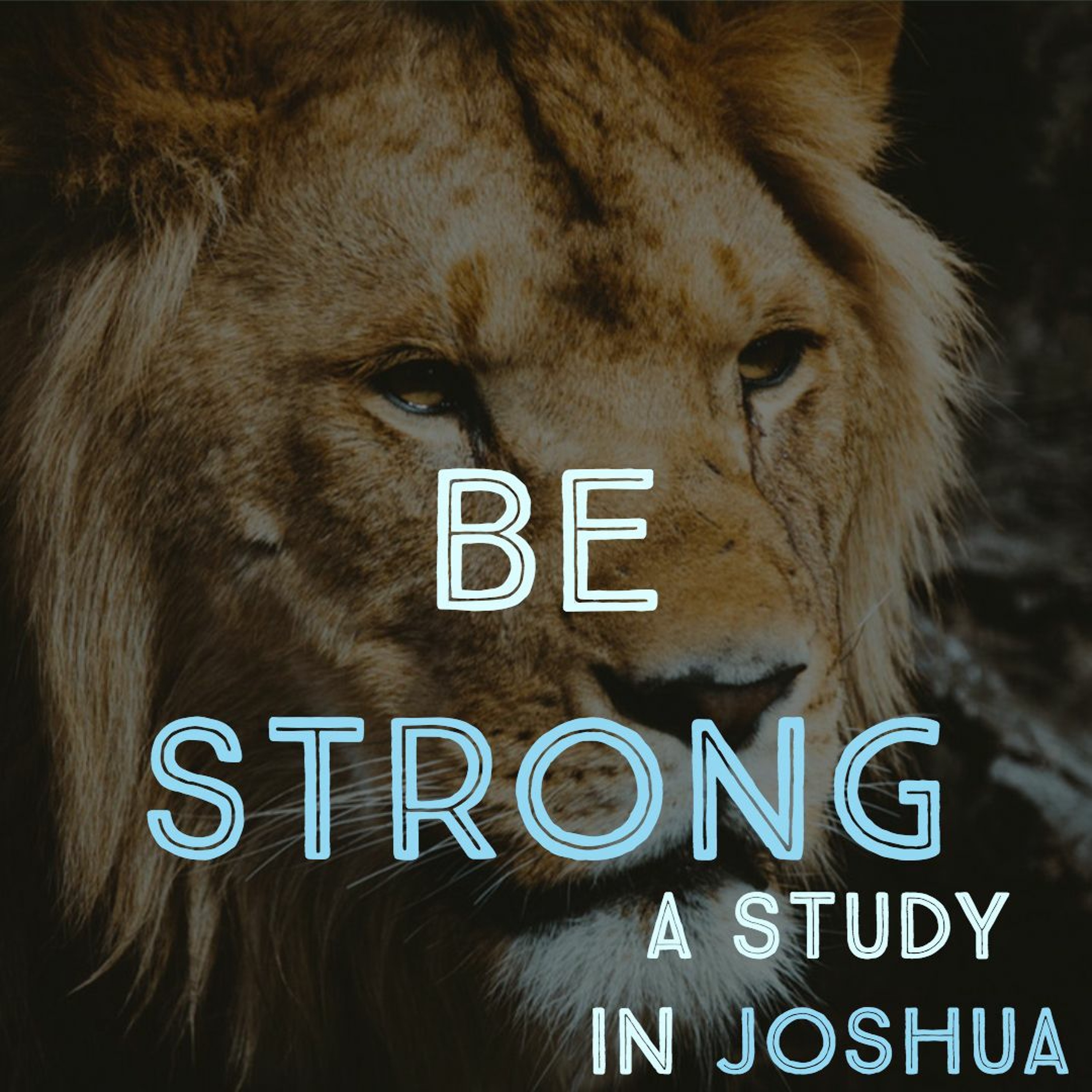 Whose Side Are You On?|Be Strong: A Study in Joshua episode artwork