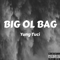 Big Ol Bag