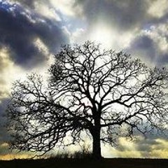 Whats Not Life (YBN Cordae Remix)