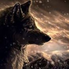 Bigger Wolf (Ft. Lil Bam)