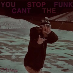 You Can't Stop The FUNK