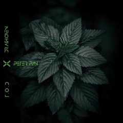 Peter Pan - T.O.D x Drathoven