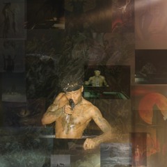 PlaNET X