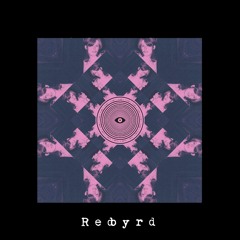 Flume - Insane (Redbyrd Remix)