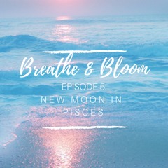 Episode 5 - New Moon in Pisces Meditation