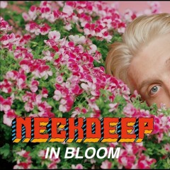 Neck Deep - In Bloom ( Cover by Adityaputs )