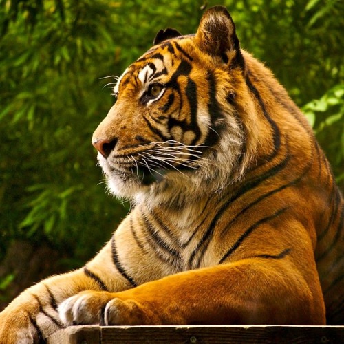 Eddy B & Tim Gunter - Wake Up