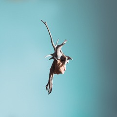 WHY /// feat. Danyiom & Bdotissa