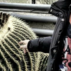 Path To Freedom (the q in q9 stands for quiet)