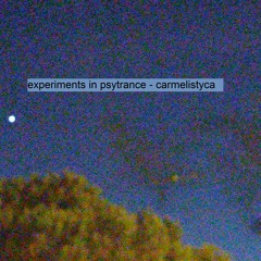 experiments in psytrance#1 carmelistyca vibe