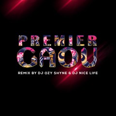 Premier Gaou - instrumental - Kiz - Dj Ozy Shyne - Nice Life