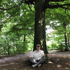 Abu Silg Фикус Бодхи