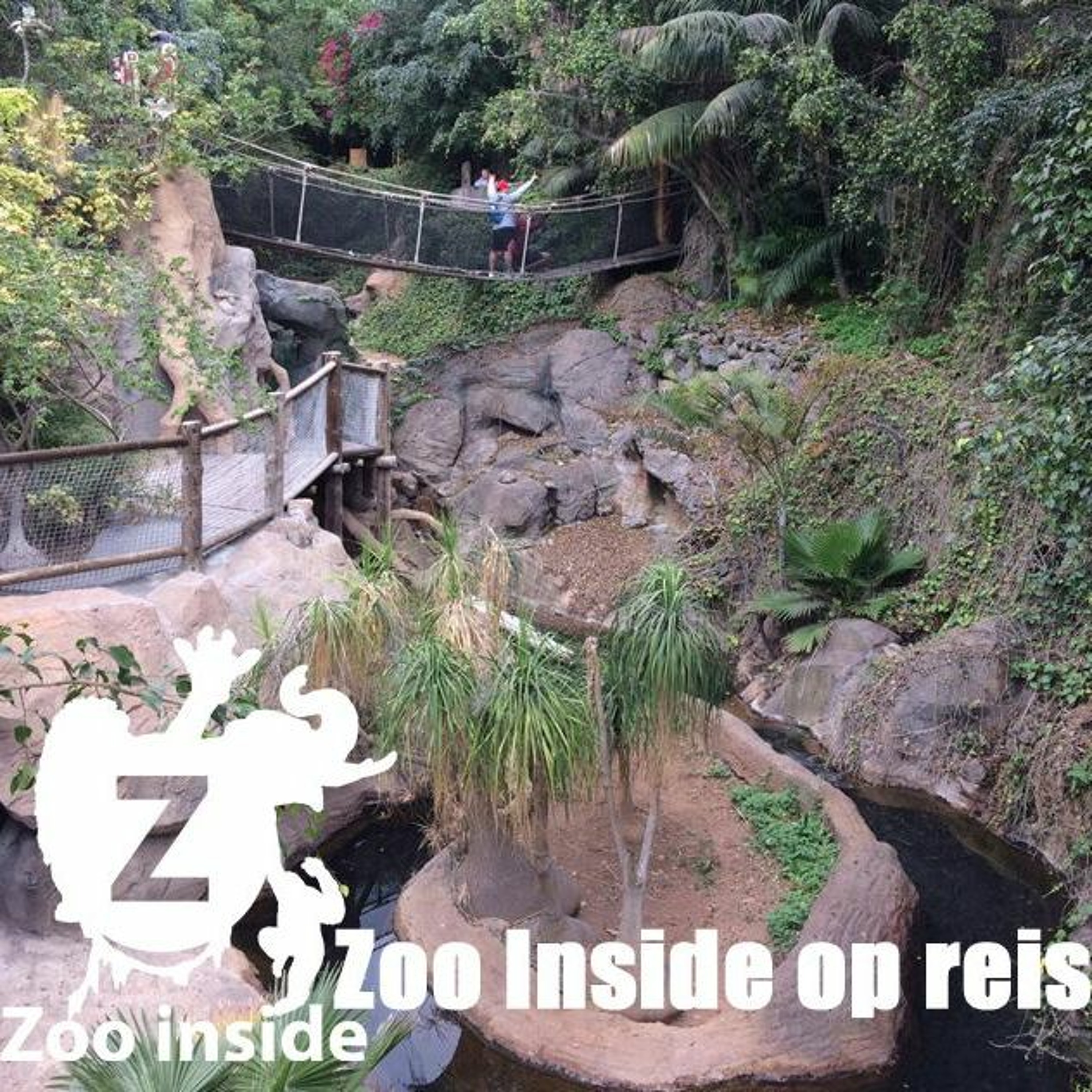 Zooinside
