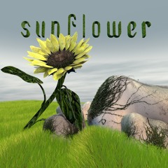 Wilder:  Sunflower (2015)