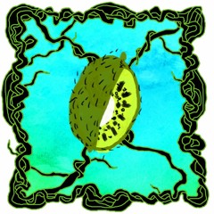 FRUITCAST #5 | rafaele castiglione | gloomy coziness within a kiwi