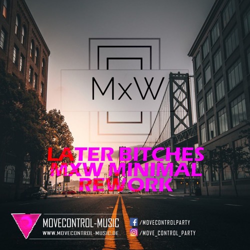 The Prince Karma - Later Bitches (MxW Minimal Rework)