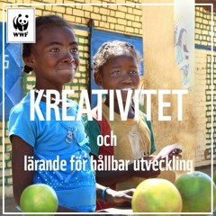 WWF - Kreativitet och lärande för hållbar utveckling