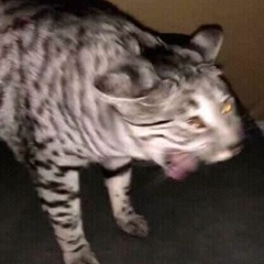 haha well shit im alone (demo)