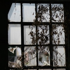 Vie De Chien - Bonus Album