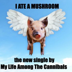 "I Ate A Mushroom"